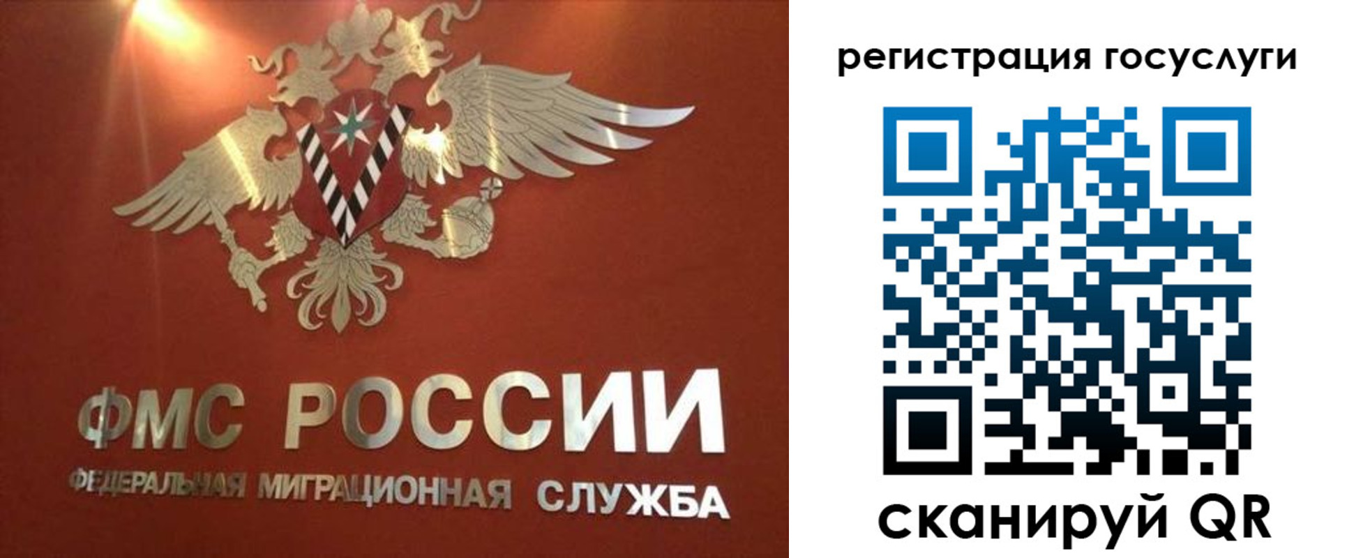 прописка ребенка в Лыткарино